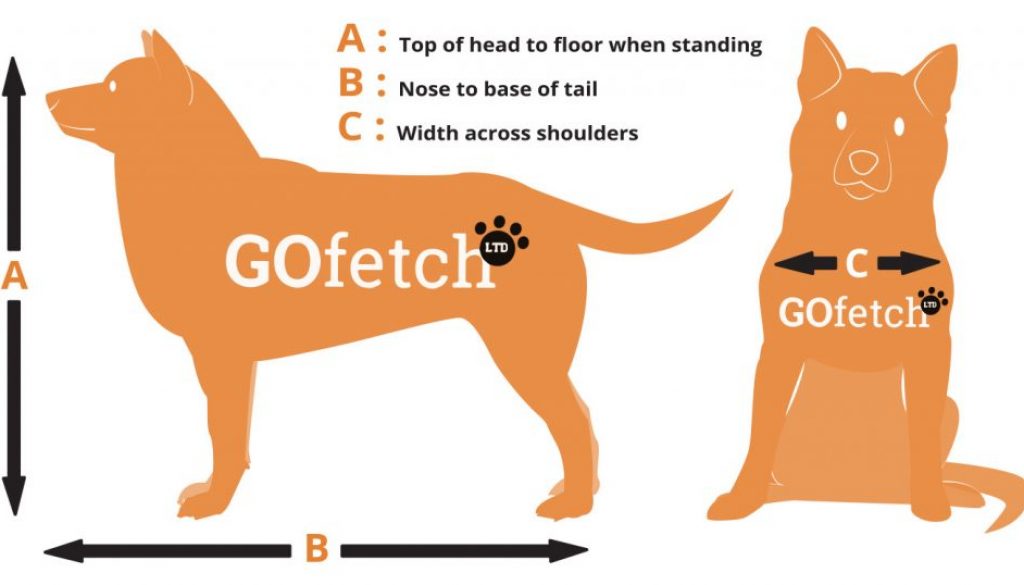 GoFetch-Measure-Chart