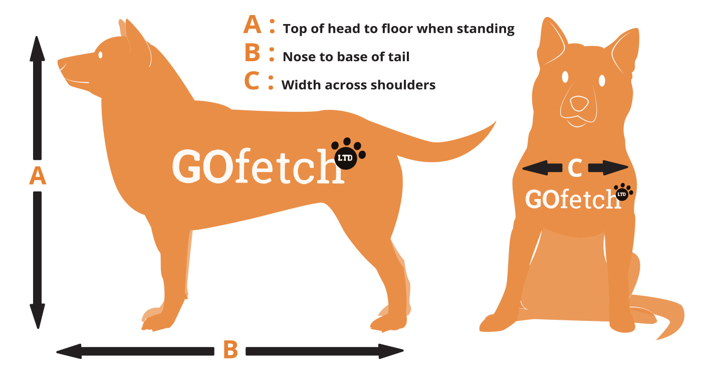 I created a new sizing chart for GoFetch, using Adobe Illustrator. I created a vector image that is clear and easy to understand. I kept it in line with the colour scheme for the website brand.